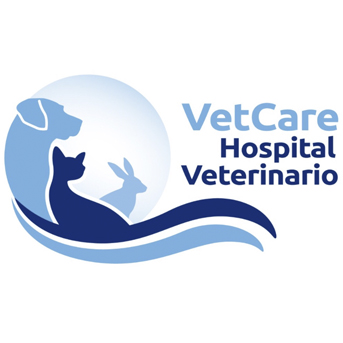 VetCare-Hospital_Veterinario
